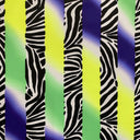 lycra ZEBRA IN COLOR PRINT